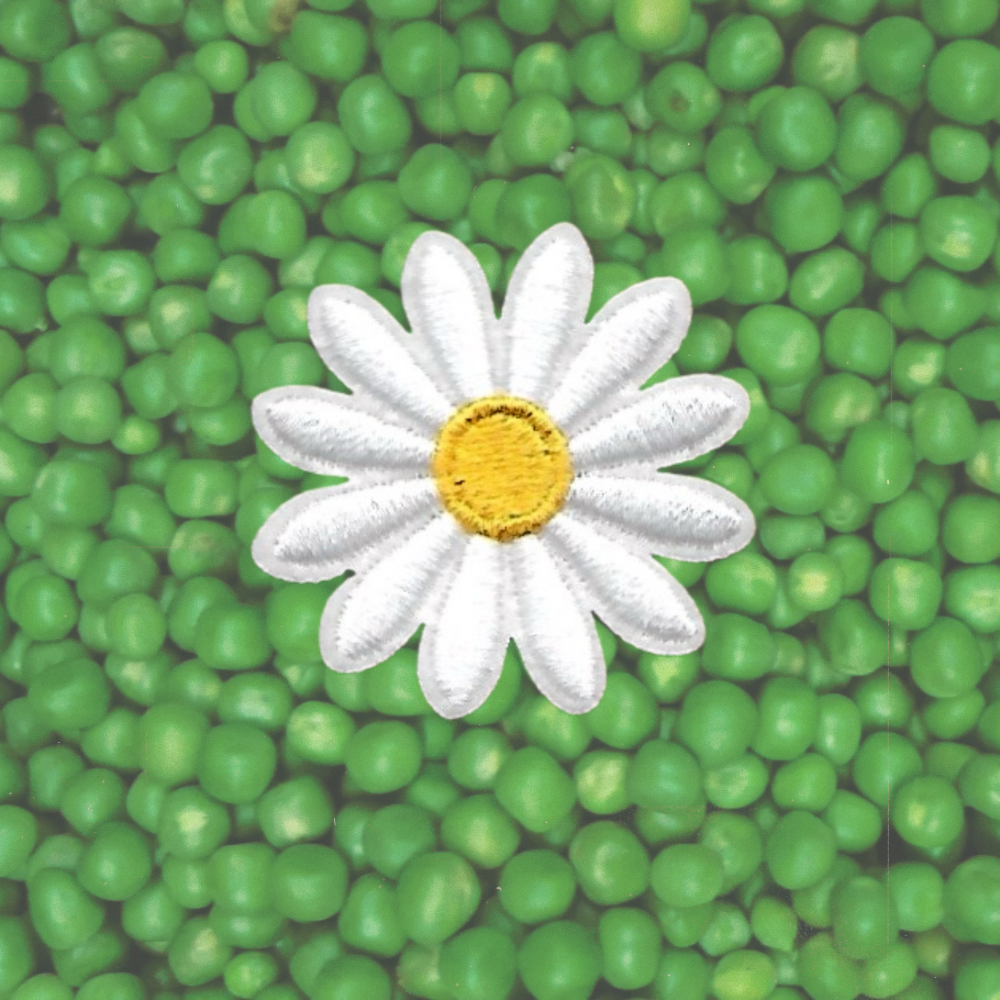 DAISY PATCH