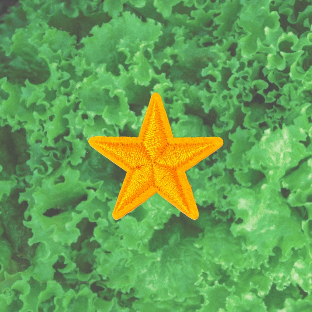 STAR PATCH