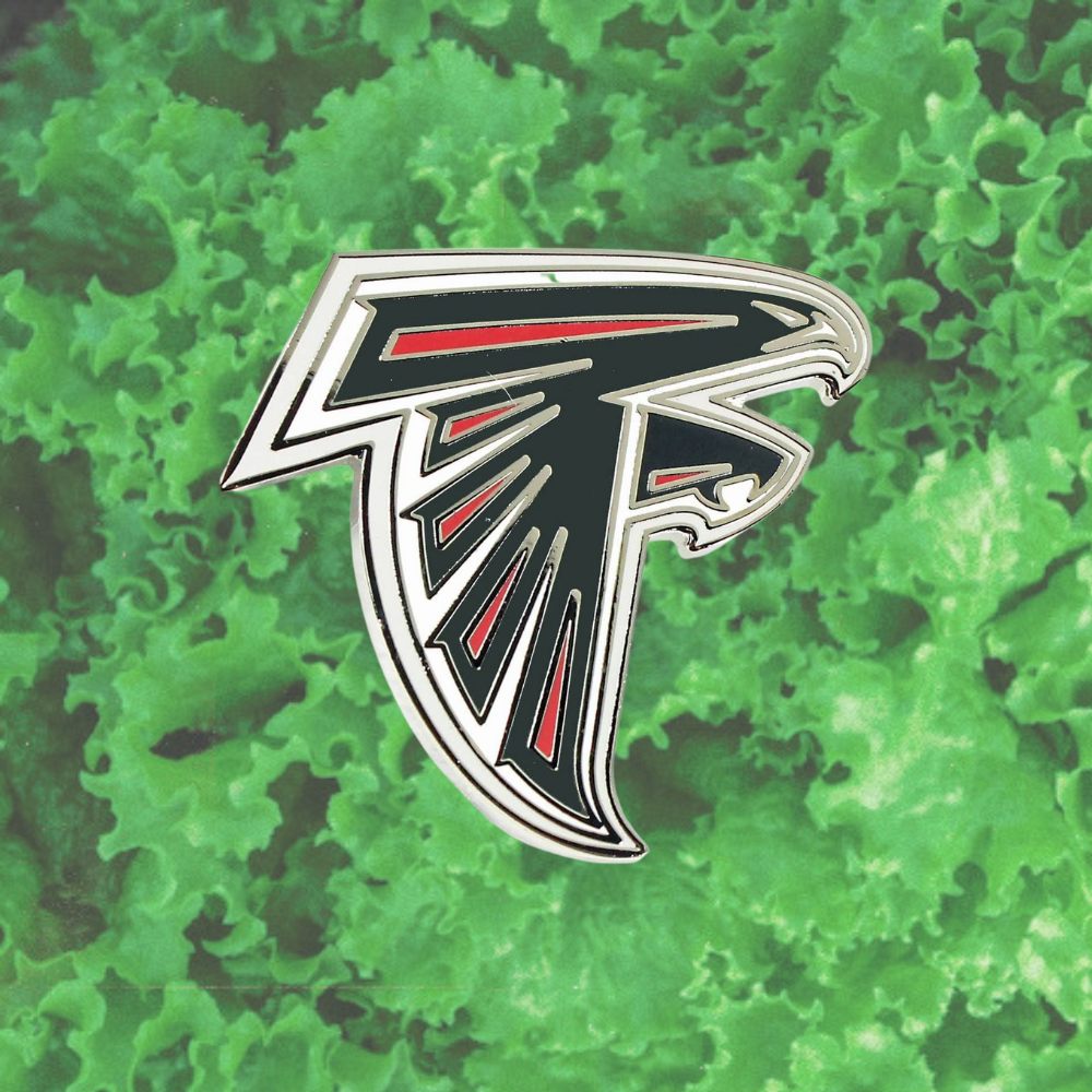 FALCONS PIN